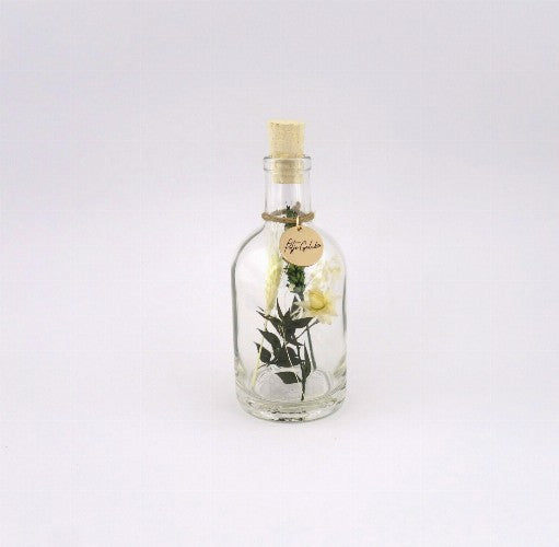 Pot of happiness S - little jungle