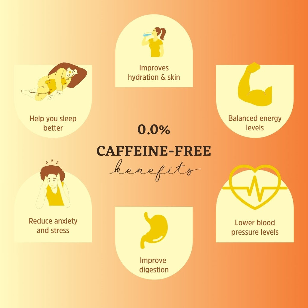 Gili Chai Barista - 500 ml