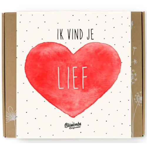 Gift box medium  - Ik vind je lief