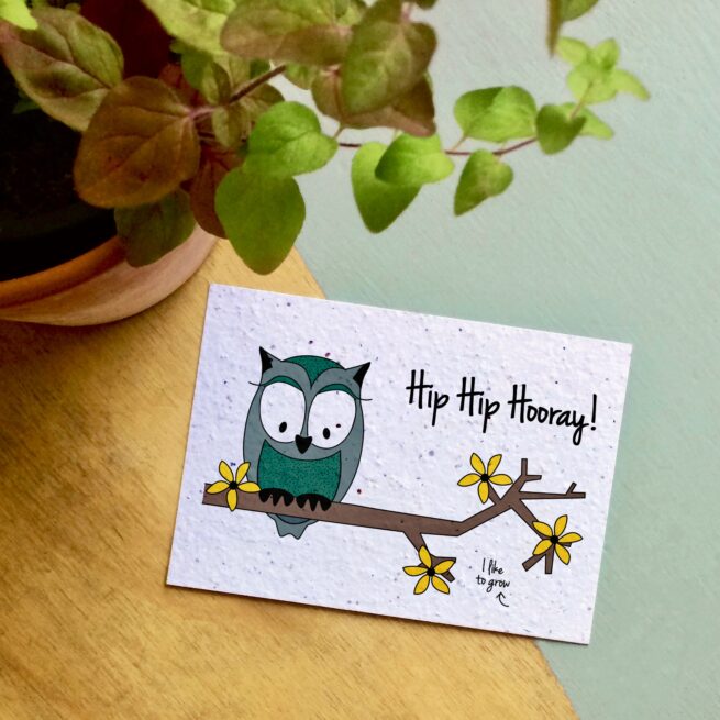 Bloeikaart - hip hip hooray uil