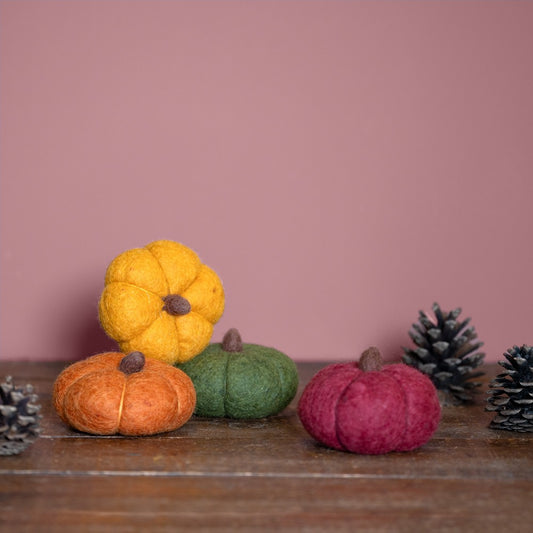 Vilten pompoen medium